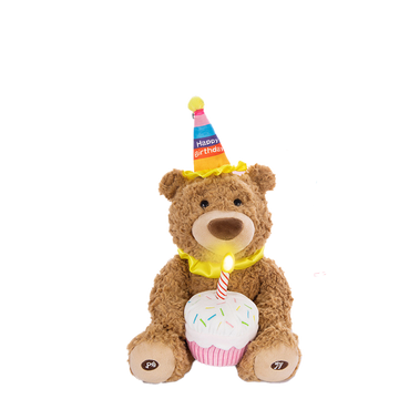 Birthday Bear